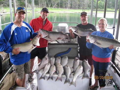 Nice Striped Bass